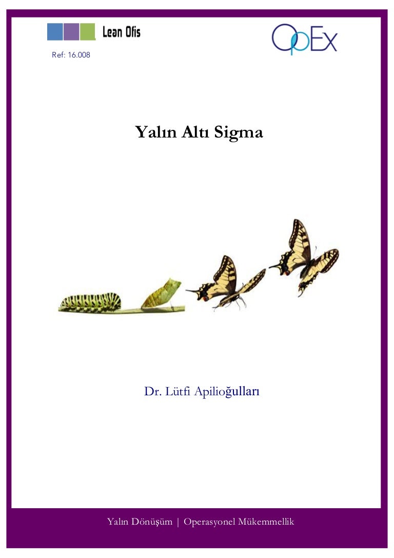 6 Sigma Nasıl Uygulanır 6 Sigma Nasıl Uygulanır